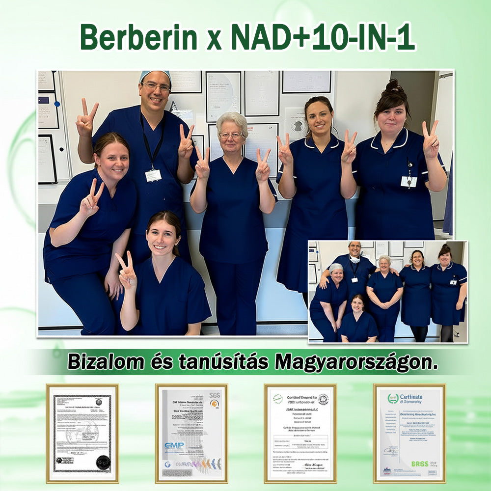 ✅✅Az Országos Népegészségügyi és Gyógyszerészeti Központ (NNGYK) által tanúsítva  | 👨‍⚕️ GFOUK® Moringa · Berberine × NAD+ 10 az 1-ben fejlett nano mikrotűs tapasz👩‍⚕️ | 🌿Tudományos háttérrel | 10 az 1-ben formula | Eredmények 7 nap alatt👩‍⚕️