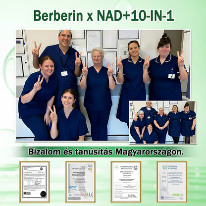 ✅✅Az Országos Népegészségügyi és Gyógyszerészeti Központ (NNGYK) által tanúsítva  | 👨‍⚕️ GFOUK® Moringa · Berberine × NAD+ 10 az 1-ben fejlett nano mikrotűs tapasz👩‍⚕️ | 🌿Tudományos háttérrel | 10 az 1-ben formula | Eredmények 7 nap alatt👩‍⚕️