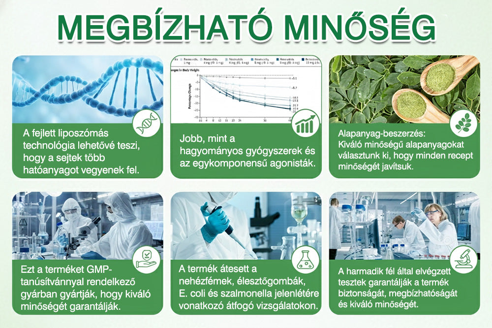 ✅✅Az Országos Népegészségügyi és Gyógyszerészeti Központ (NNGYK) által tanúsítva  | 👨‍⚕️ GFOUK® Moringa · Berberine × NAD+ 10 az 1-ben fejlett nano mikrotűs tapasz👩‍⚕️ | 🌿Tudományos háttérrel | 10 az 1-ben formula | Eredmények 7 nap alatt👩‍⚕️