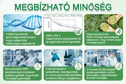 ✅✅Az Országos Népegészségügyi és Gyógyszerészeti Központ (NNGYK) által tanúsítva  | 👨‍⚕️ GFOUK® Moringa · Berberine × NAD+ 10 az 1-ben fejlett nano mikrotűs tapasz👩‍⚕️ | 🌿Tudományos háttérrel | 10 az 1-ben formula | Eredmények 7 nap alatt👩‍⚕️